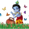 Krishna Wall Stickers