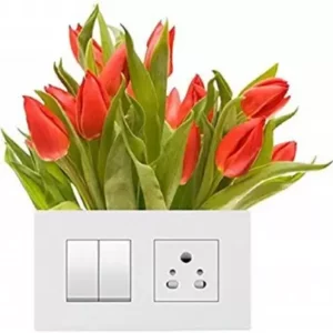 1bhaav Decorative Flower Switch Sticker