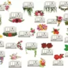 1bhaav flower Switch Board Sticker