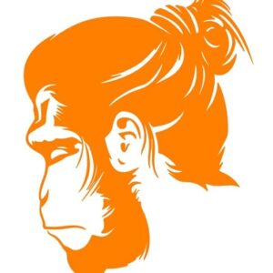 1bhaav Unique Hanuman Face Sticker for Car