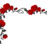 1bhaav Beautiful red Rose Black Leaves Wall Sticker