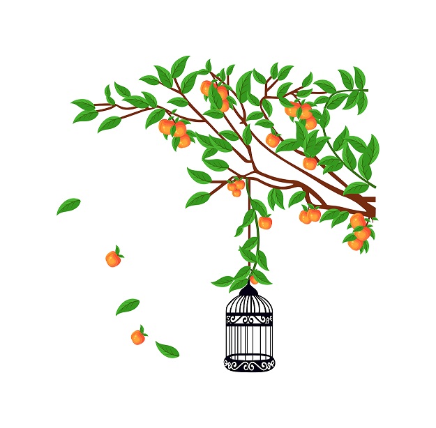 WD137 1bhaav Beautiful Tree with Fruits Wall Sticker