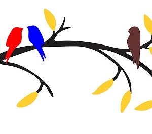 1bhaav Colorful Tree Birds Sitting on Branch Decorative Wall Sticker