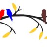1bhaav Colorful Tree Birds Sitting on Branch Decorative Wall Sticker