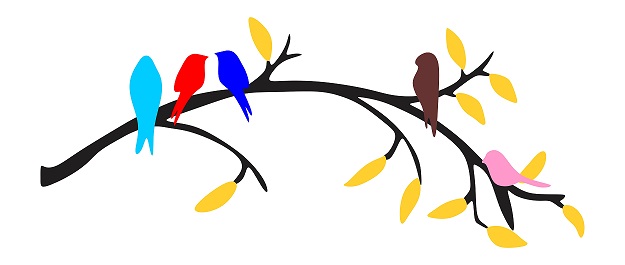 WD156 1bhaav Colorful Tree Birds Sitting on Branch Decorative Wall Sticker