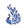 1bhaav Beautiful Peacock Wall Sticker