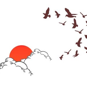 1bhaav Sun Set in clowd with Birds PVC Vinyl Multicolor Wall Sticker