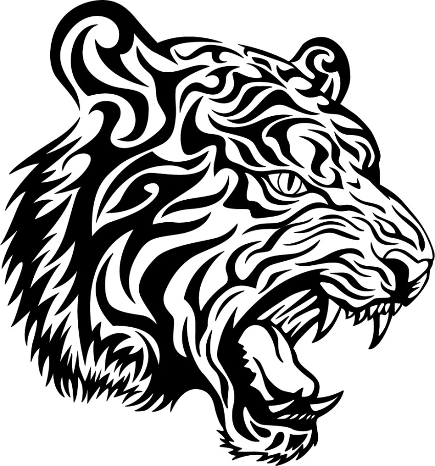 The Ultimate Guide to Choosing the Right Bike Sticker Designs